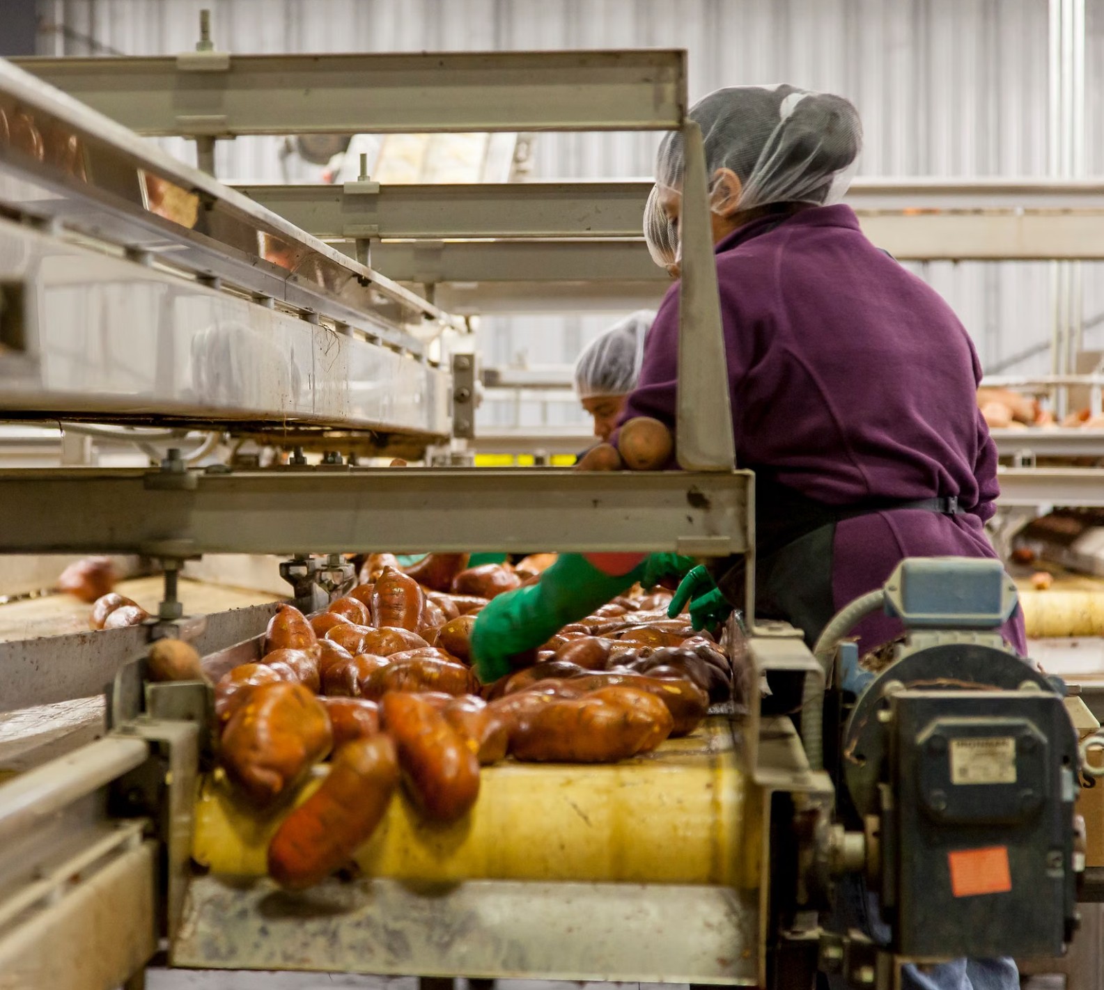 Fresh produce stacked in plastic crates for food distribution